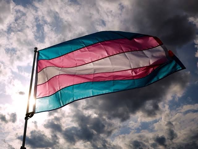 Justiça barra cotas exclusivas para trans na&nbsp;FURG&nbsp;