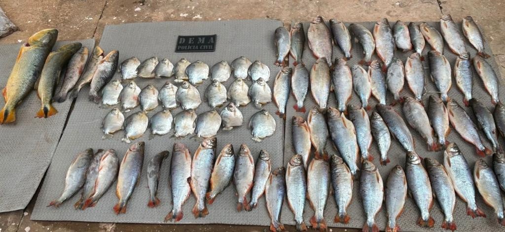 Cresce 570% apreensão de peixes em Mato Grosso no primeiro semestre de 2025, aponta&nbsp;Dema