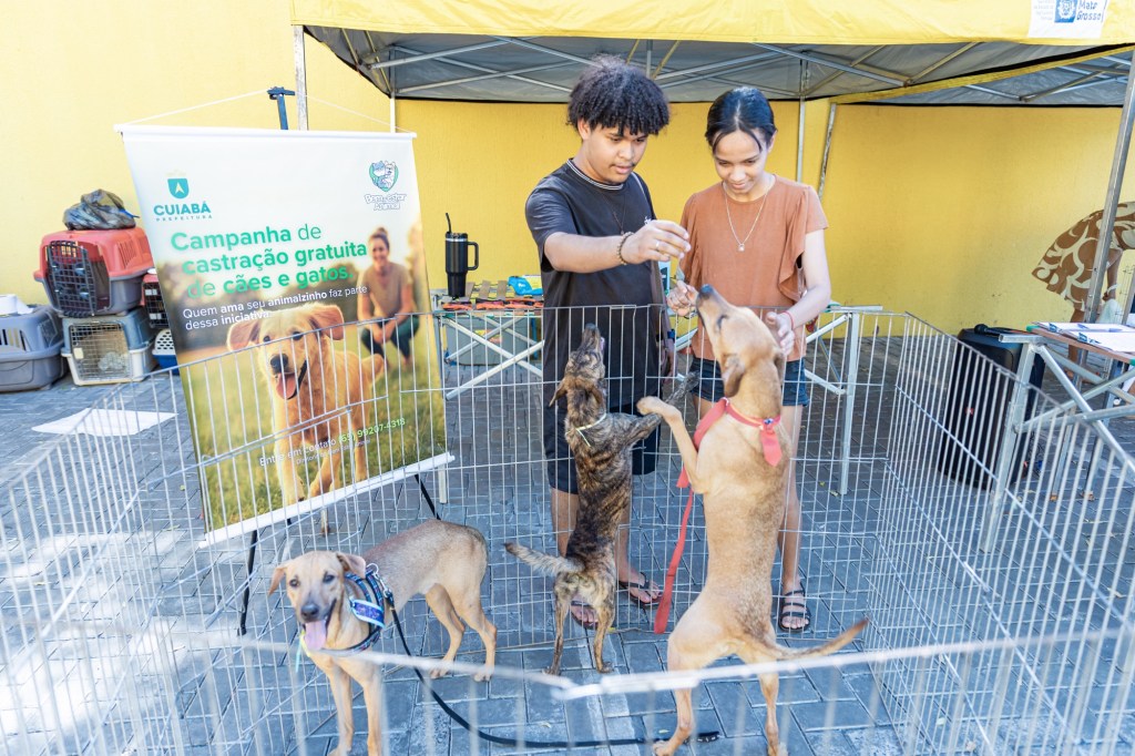 Do abandono ao lar: Cuiabá celebra adoção de cães e espalha&nbsp;solidariedade
