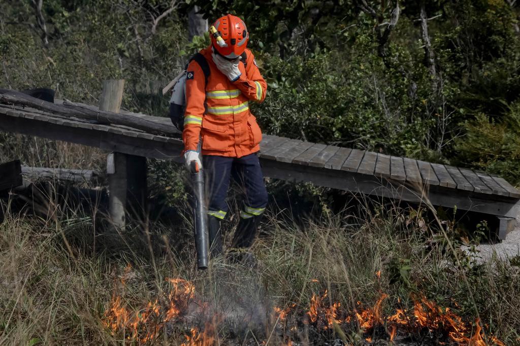 Mato Grosso registra mais de 100 focos de calor em 24&nbsp;horas