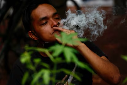 Vereador Dilemário apresenta projeto que pune consumo de maconha em público com multa de R$&nbsp;700