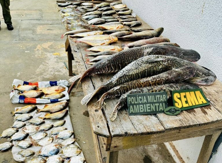 Mais de 47 quilos de pescado irregular são apreendidos em Barão de&nbsp;Melgaço