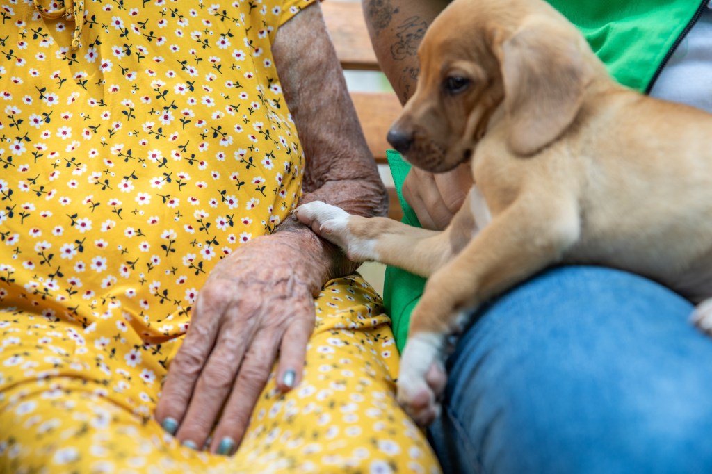 Ação inédita emociona idosos do Abrigo Bom Jesus em&nbsp;Cuiabá