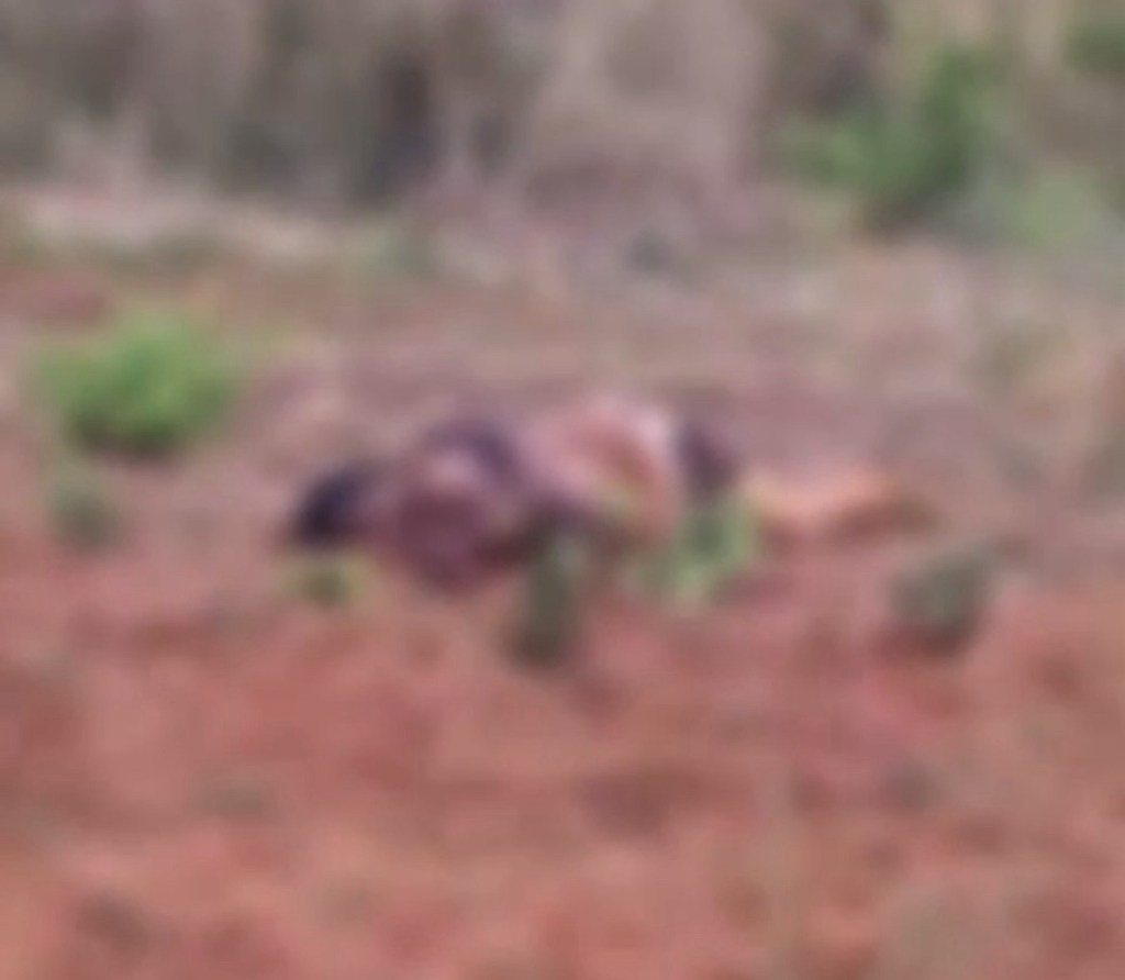 Mulher é encontrada morta ao lado de caminhonete em Cuiabá. Veja o&nbsp;vídeo